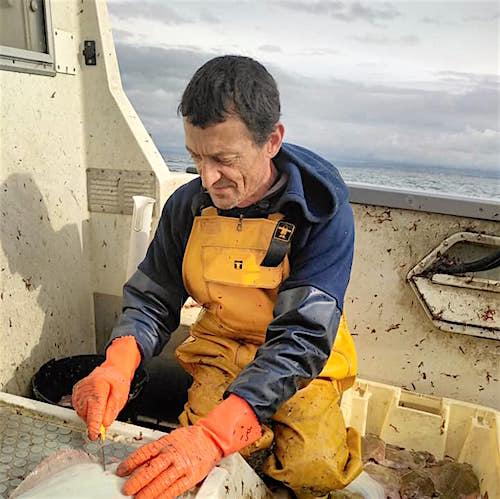 🐟🎣 - L'Atelier du Pêcheur - 🎣🐟