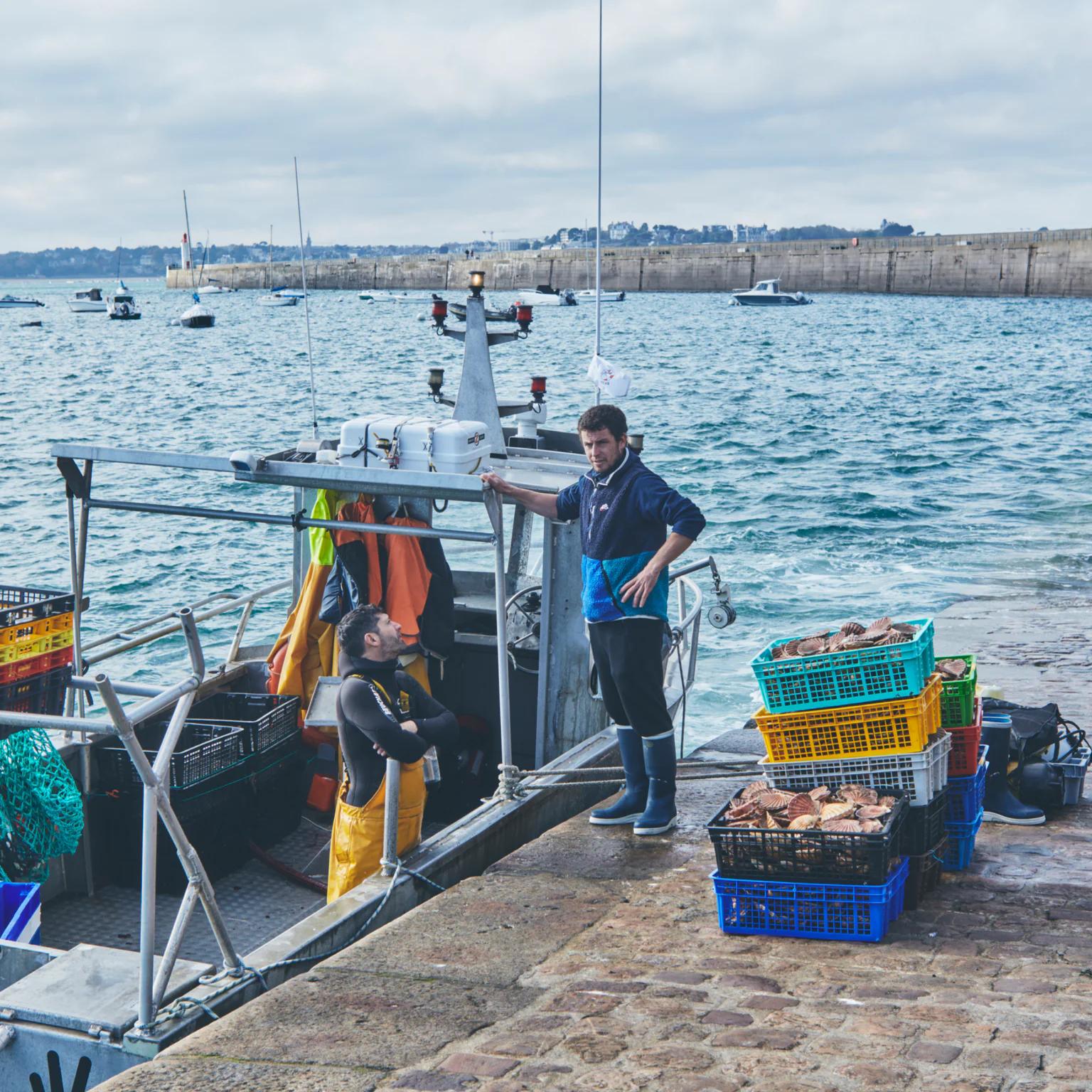 Débarque de coquilles Saint-Jacques sur le port de Saint-Malo