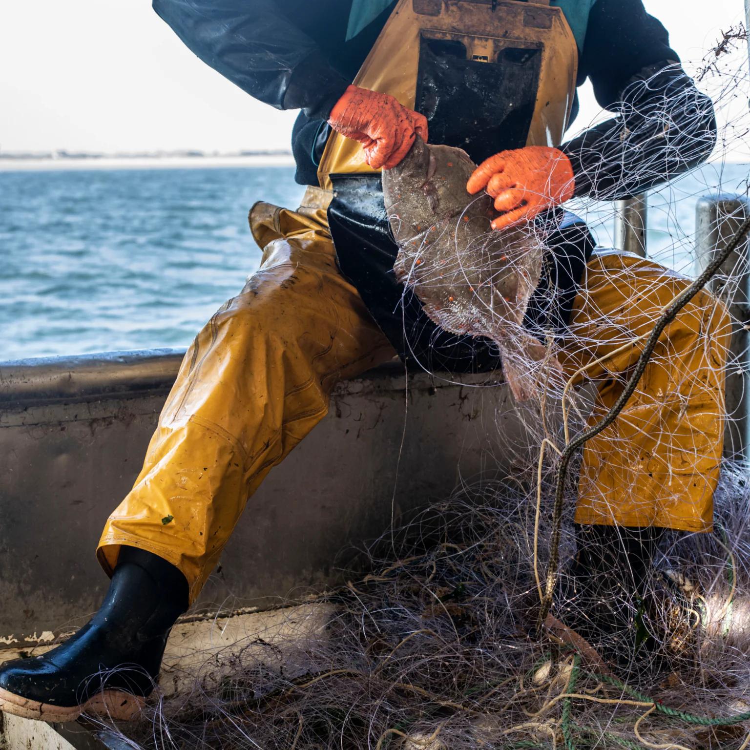 Les pêcheurs du réseau Poiscaille partagent notre vision de la durabilité.