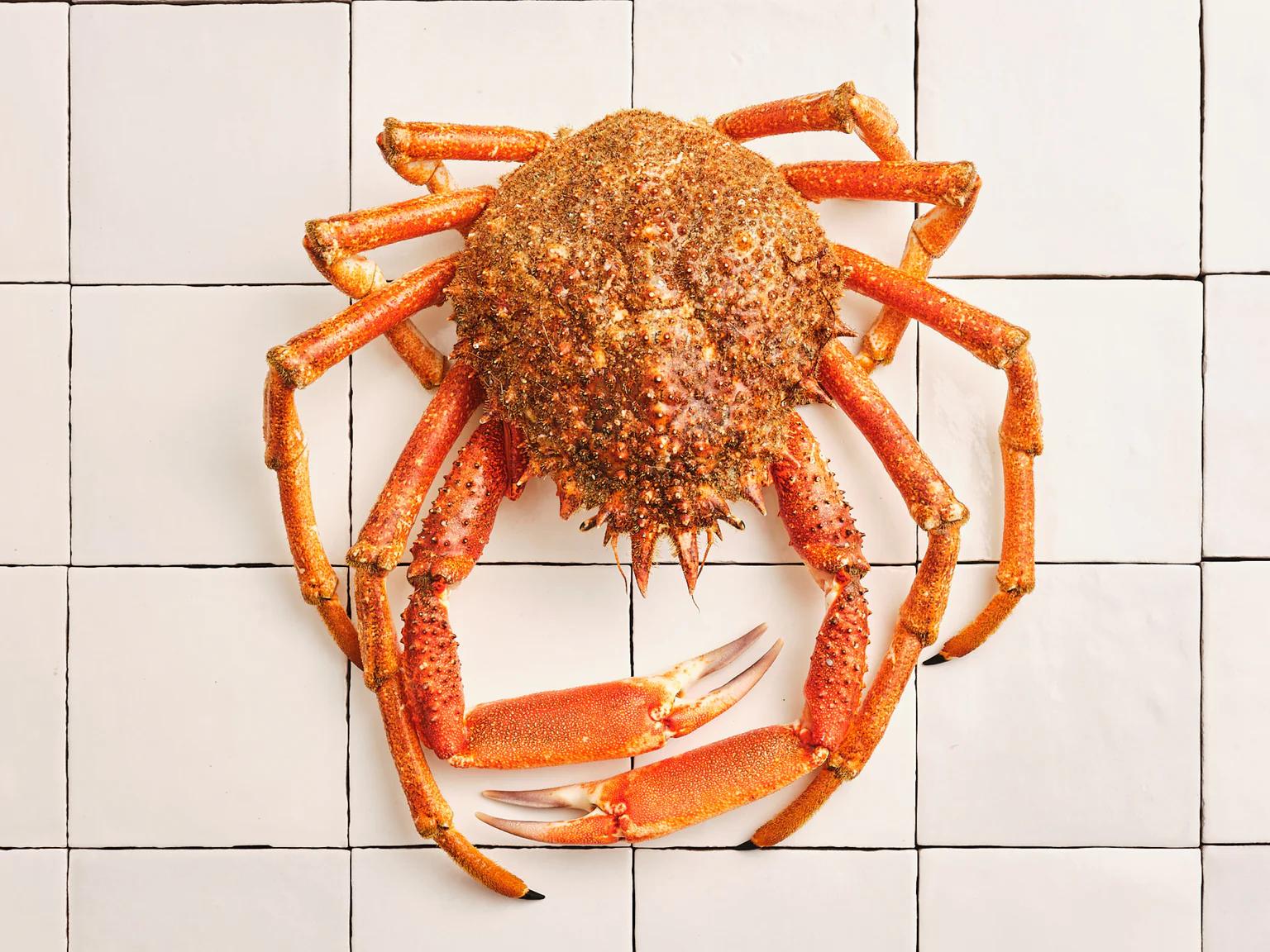 Araignée de mer sur des carreaux blancs Poiscaille