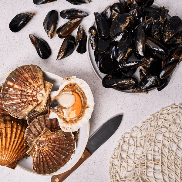 coquillessaintjacques-moules-casier