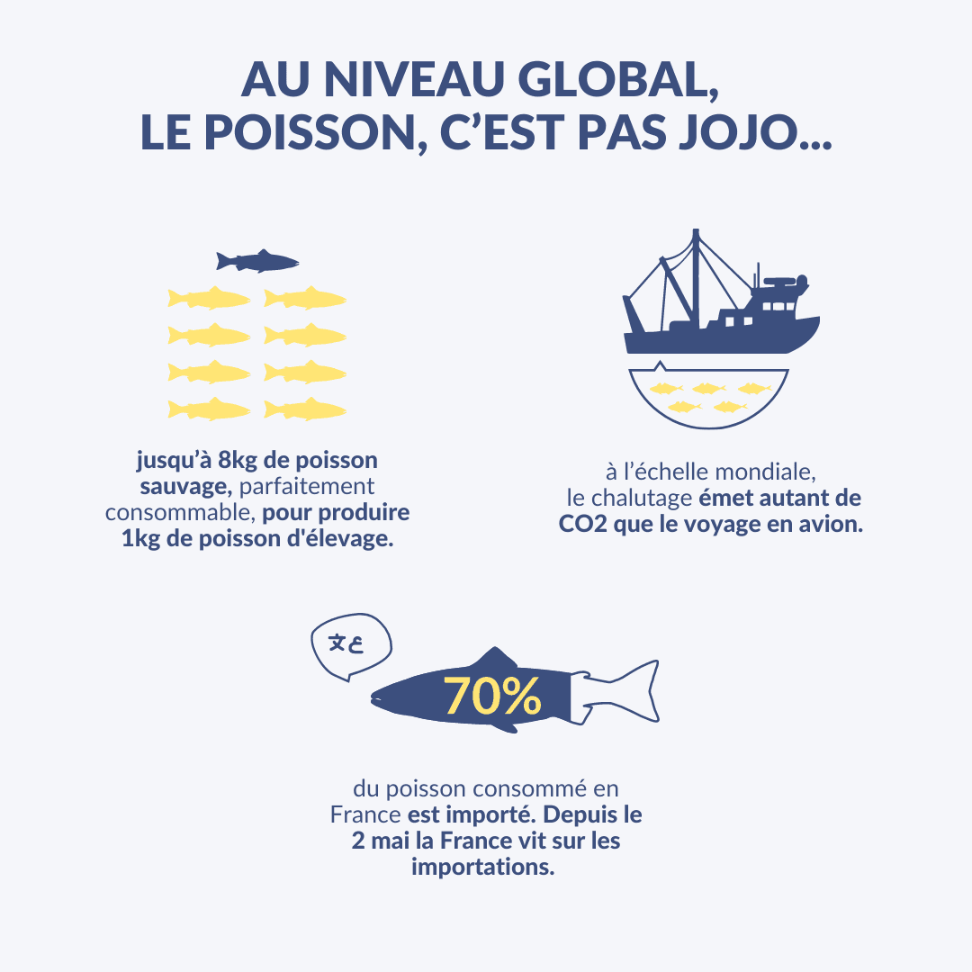 Constat de Poiscaille sur la pêche dans le monde